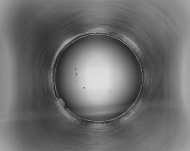 X0000111880800200907301136