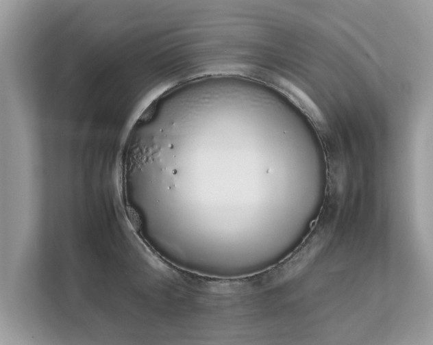 X0000111880804200907301136
