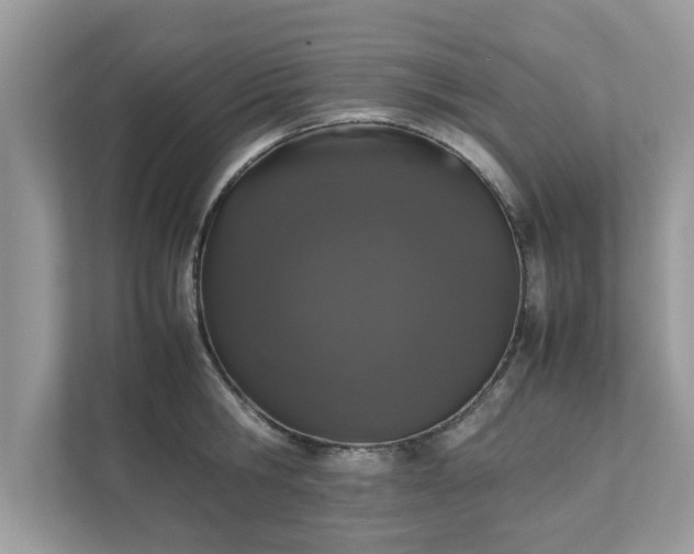 X0000111880806200907301136
