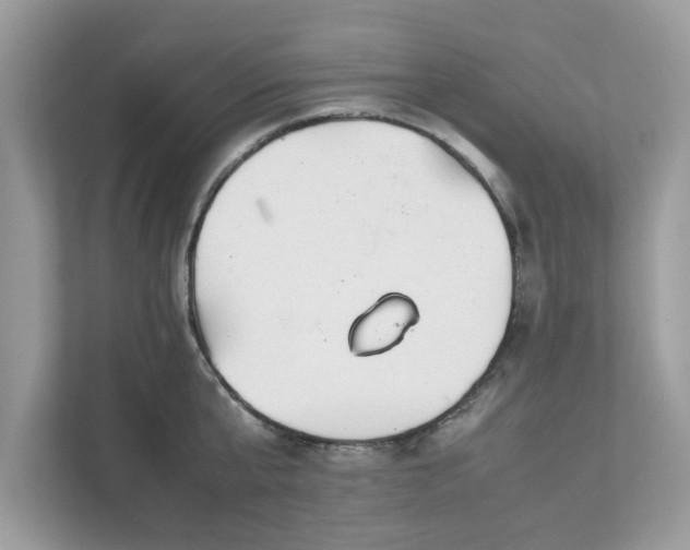 X0000111880807200907301136
