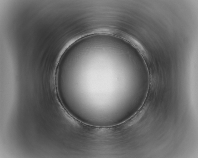 X0000111880808200907301136
