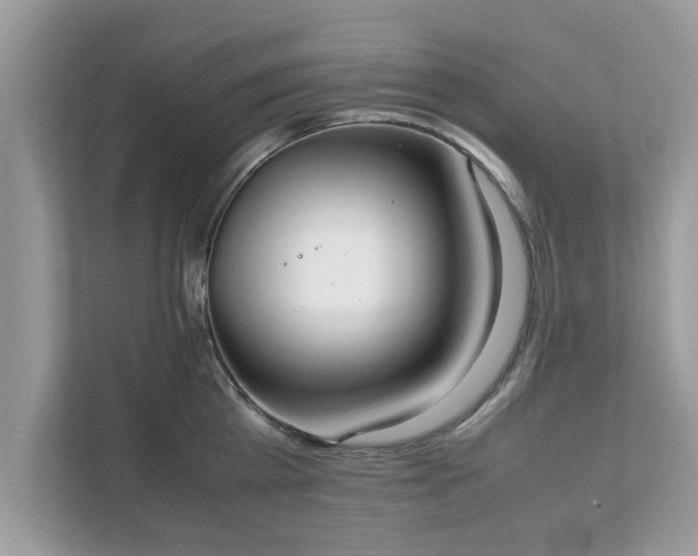 X0000111880809200907301136