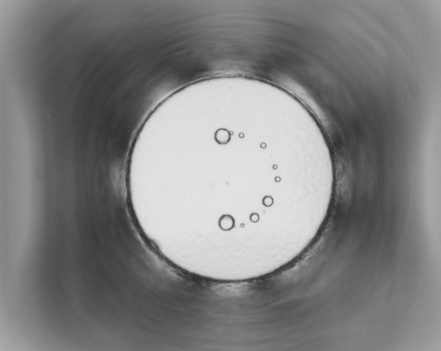 X0000111880810200907301136