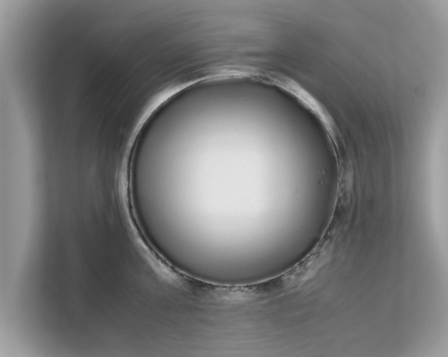 X0000111880811200907301136