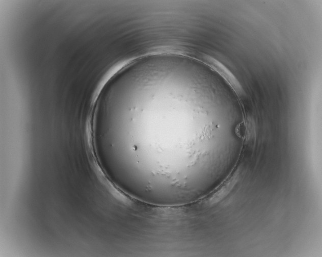 X0000111880812200907301136