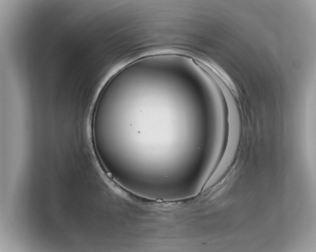 X0000111880813200907301136