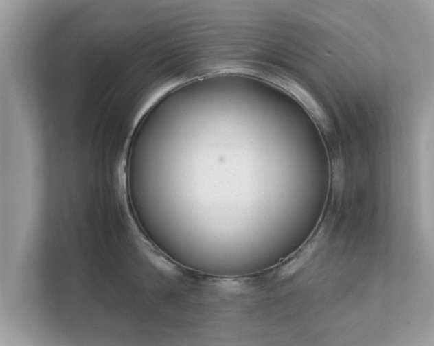 X0000111880814200907301136