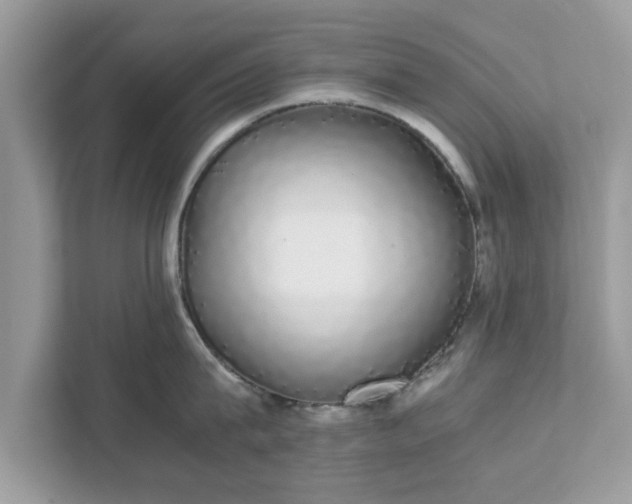 X0000111880815200907301136