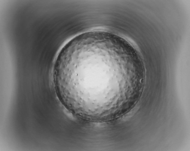 X0000111880816200907301136