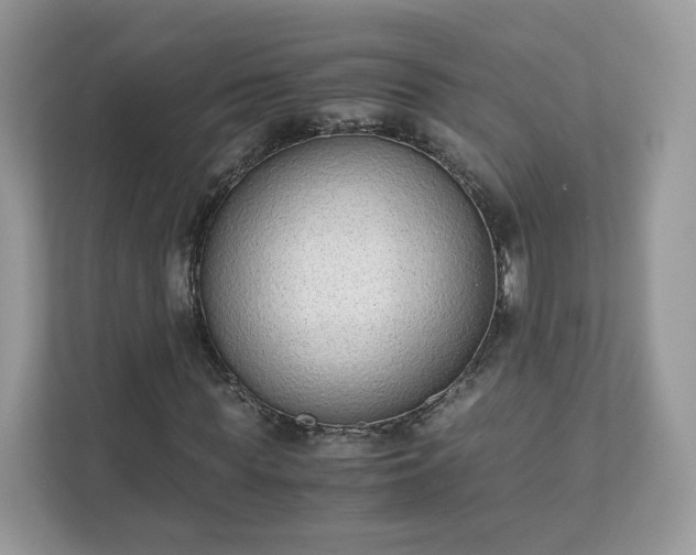 X0000111880819200907301135