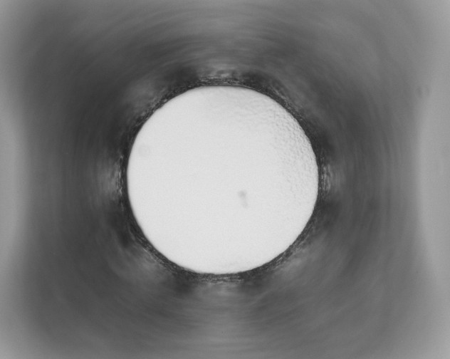 X0000111880820200907301135