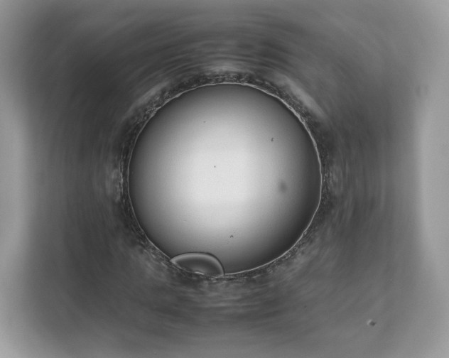 X0000111880821200907301135