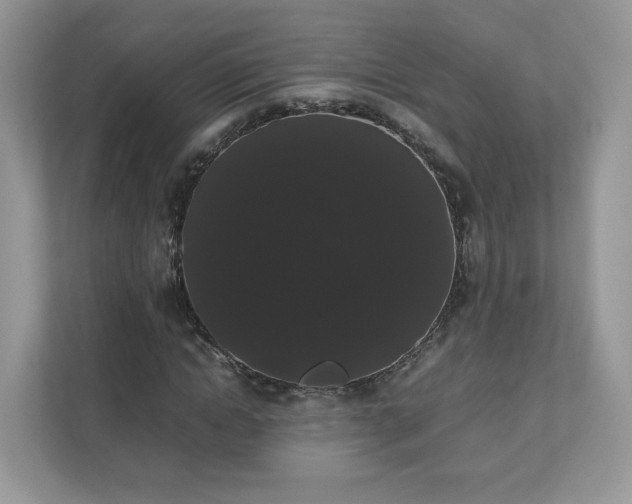 X0000111880822200907301135