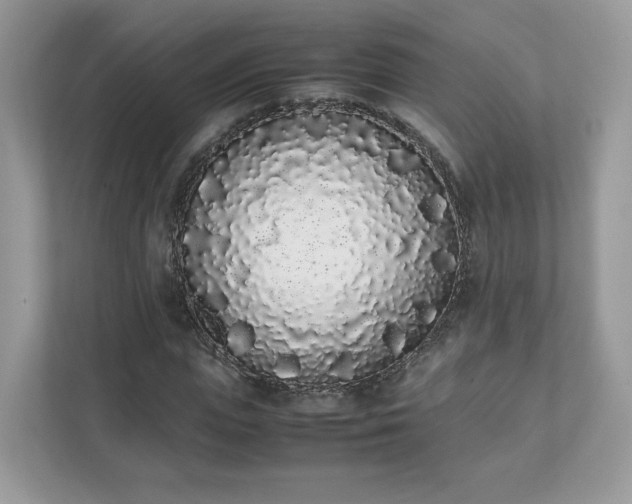 X0000111880823200907301135