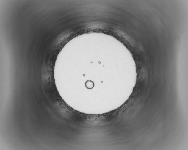 X0000111880824200907301135
