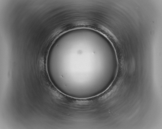 X0000111880825200907301135