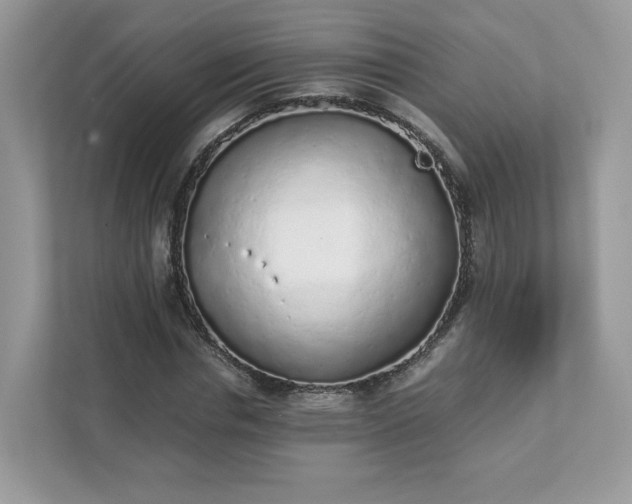 X0000111880826200907301135