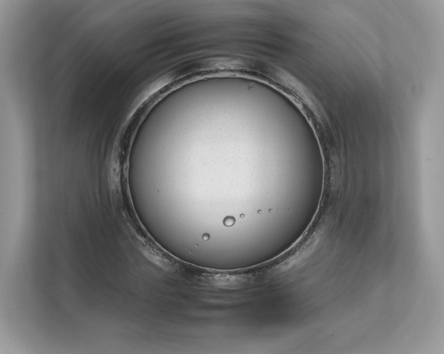 X0000111880827200907301135