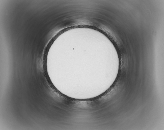 X0000111880828200907301135