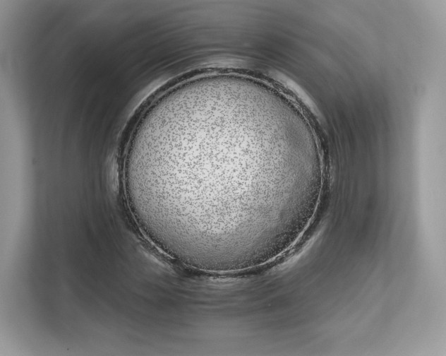 X0000111880829200907301135