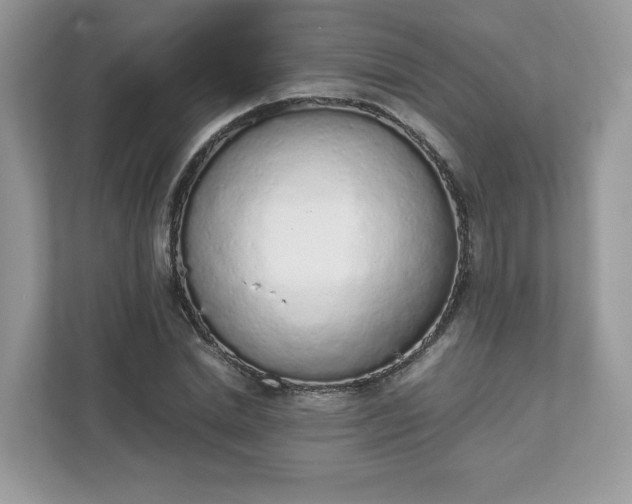 X0000111880830200907301135
