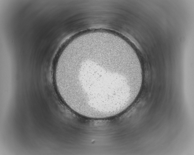 X0000111880832200907301135