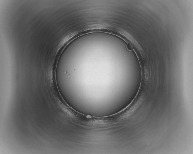 X0000111880834200907301135