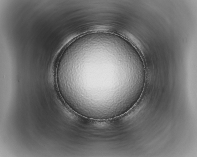X0000111880835200907301135