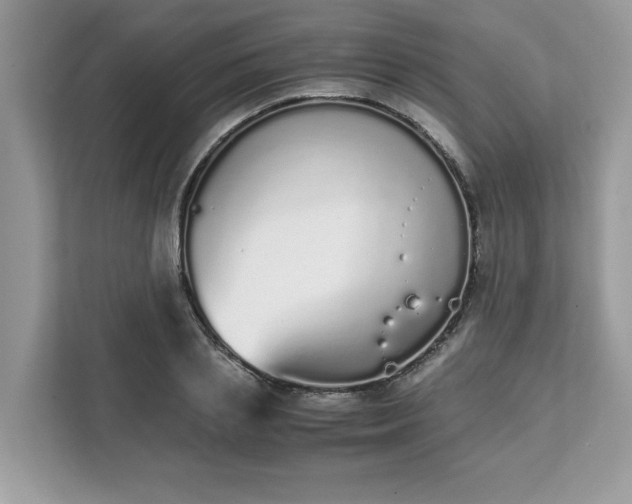X0000111880837200907301135