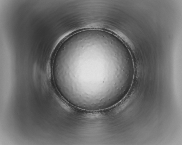 X0000111880838200907301135