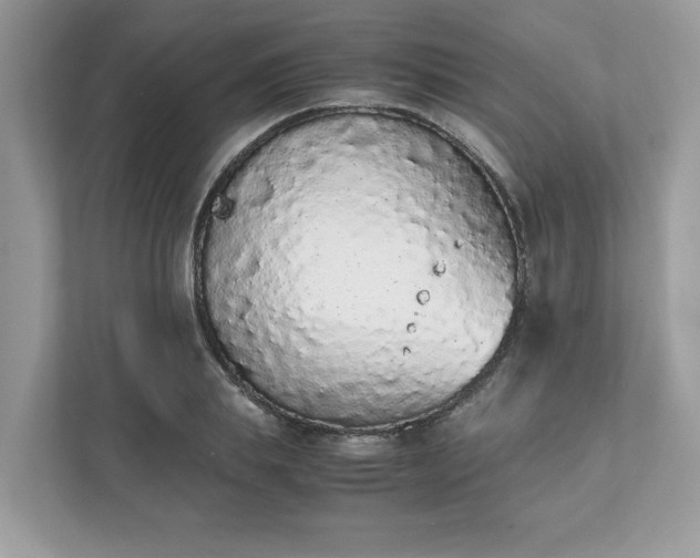 X0000111880839200907301135