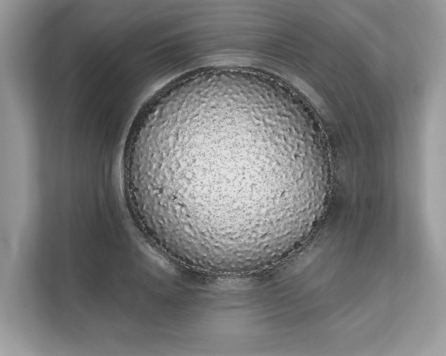 X0000111880840200907301135