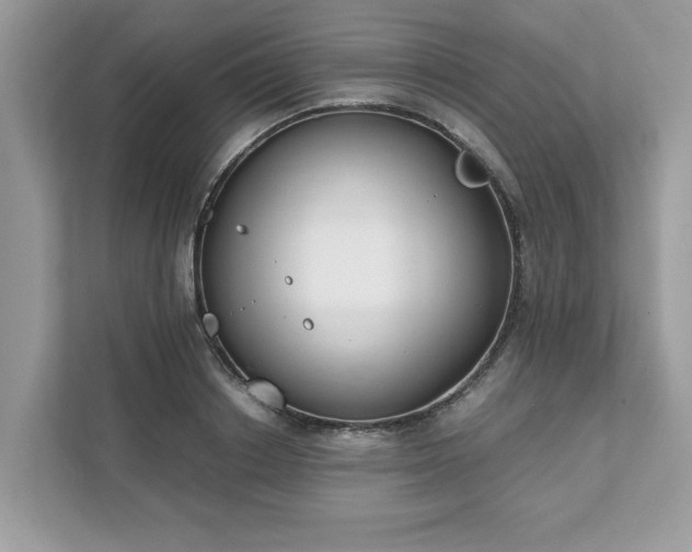 X0000111880842200907301135