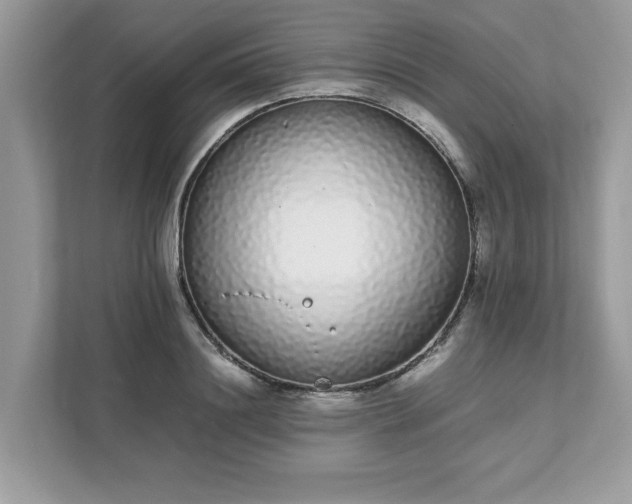 X0000111880844200907301135
