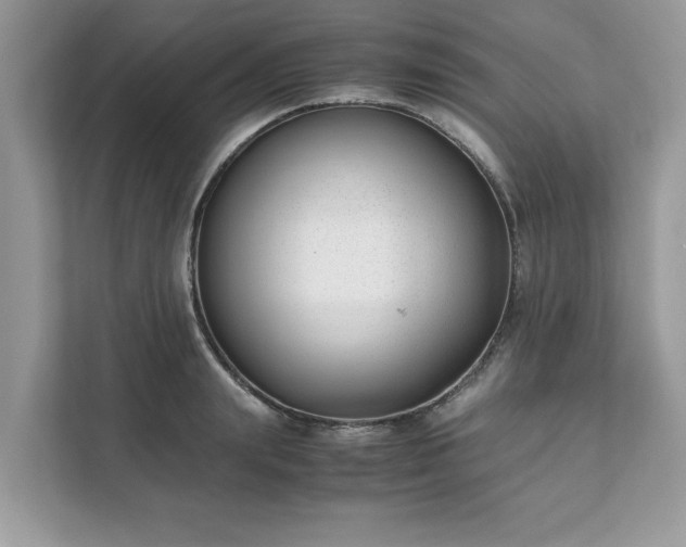 X0000111880847200907301135