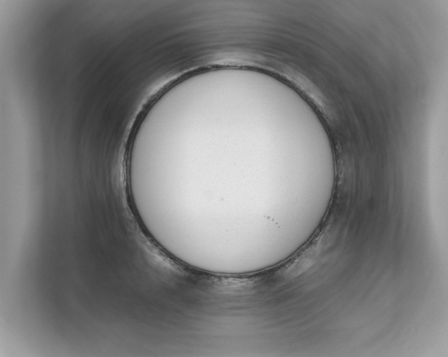 X0000111880848200907301135