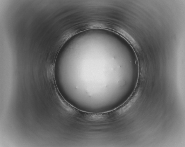 X0000111880849200907301135