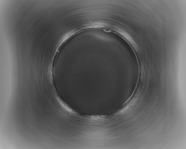 X0000111880850200907301135