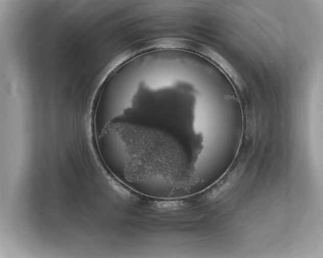 X0000111880853200907301135