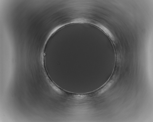 X0000111880854200907301135