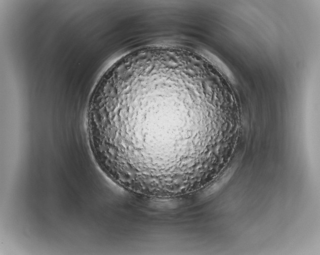 X0000111880855200907301136