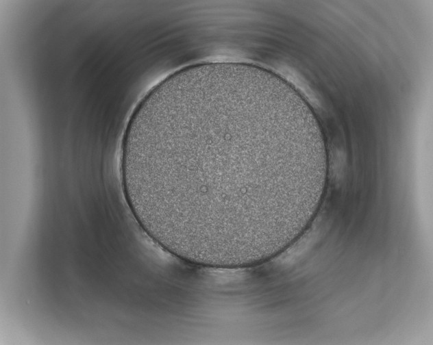 X0000111880856200907301136