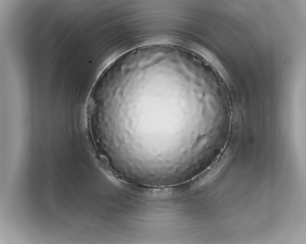 X0000111880858200907301136