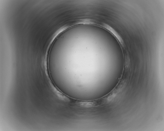 X0000111880861200907301136