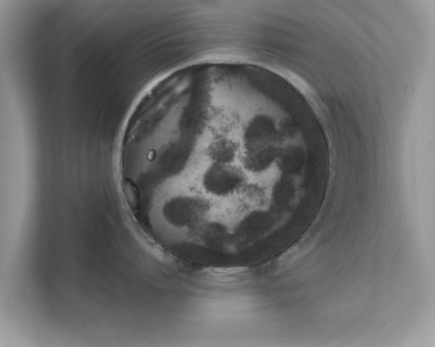X0000111880864200907301136