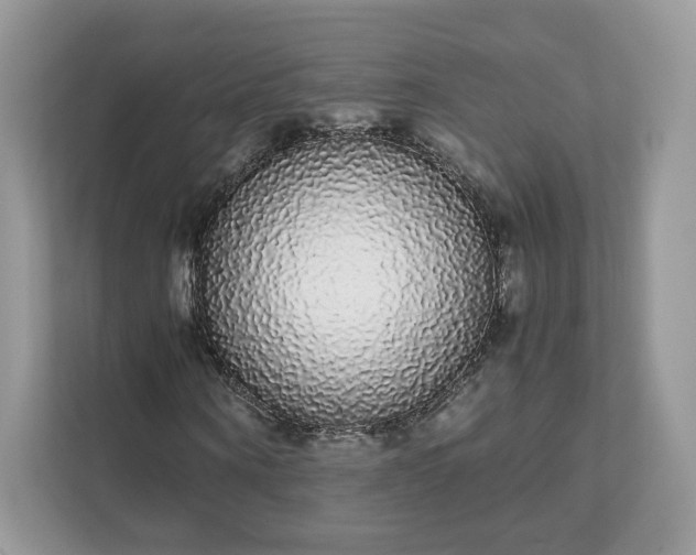 X0000111880866200907301135