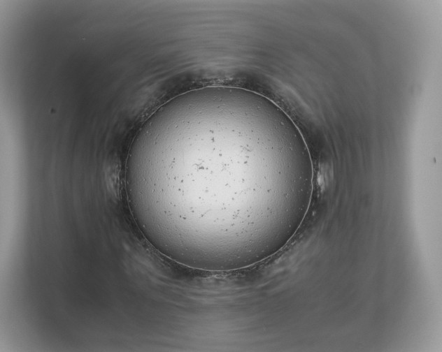 X0000111880867200907301135