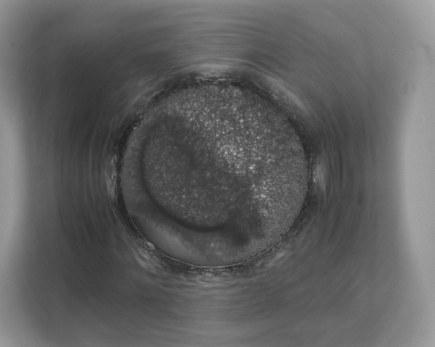 X0000111880868200907301135