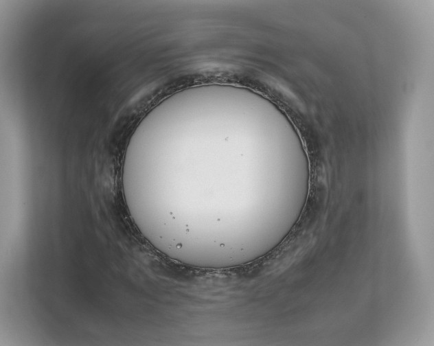 X0000111880869200907301135