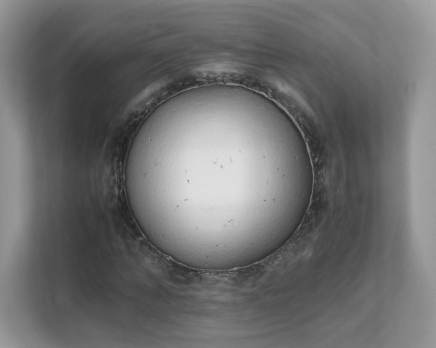 X0000111880870200907301135
